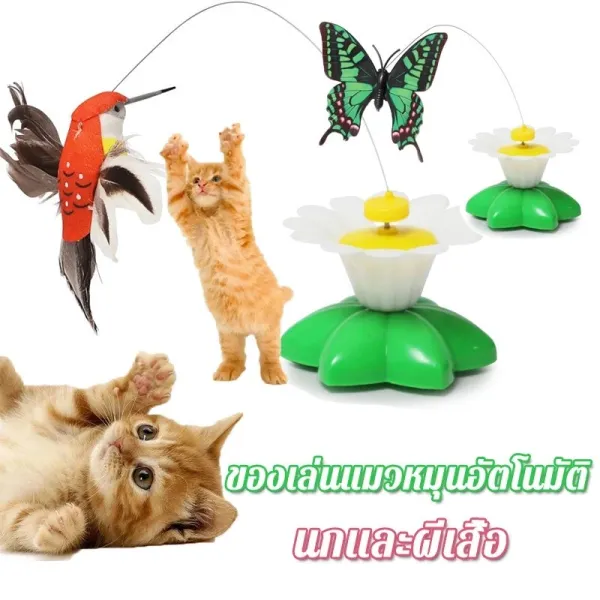 PET&CAT สินค้าใหม่!! ของเล่นสัตว์เลี้ยง ผีเสื้อหมุน นกหมุน อัตโนมัติ ของเล่นแมว แบบหมุนได้ 360 องศา