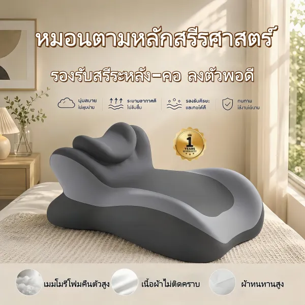 หมอน Ergonomic + หมอนรองคอและเบาะรองนั่งที่ออกแบบมาเพื่อรองรับคอและหลัง ผ่อนคลายอย่างเต็มที่ COD