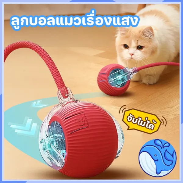 ของเล่นแมว ลูกบอลสัตว์เลี้ยง ของเล่นแมวอัจฉริยะ หมุนได้ 360 องศา เรืองแสง USB ชาร์จ