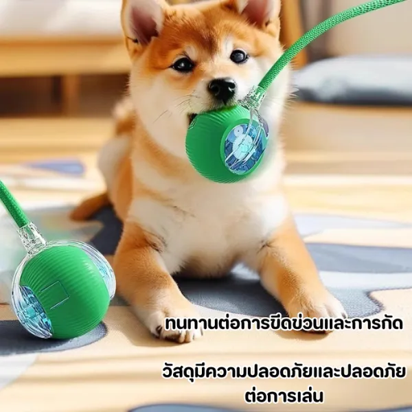 ของเล่นแมวอัตโนมัติ ของเล่นแมว ลูกบอลกลิ้งอัจฉริย สำหรับในร่ม USB ชาร์จ