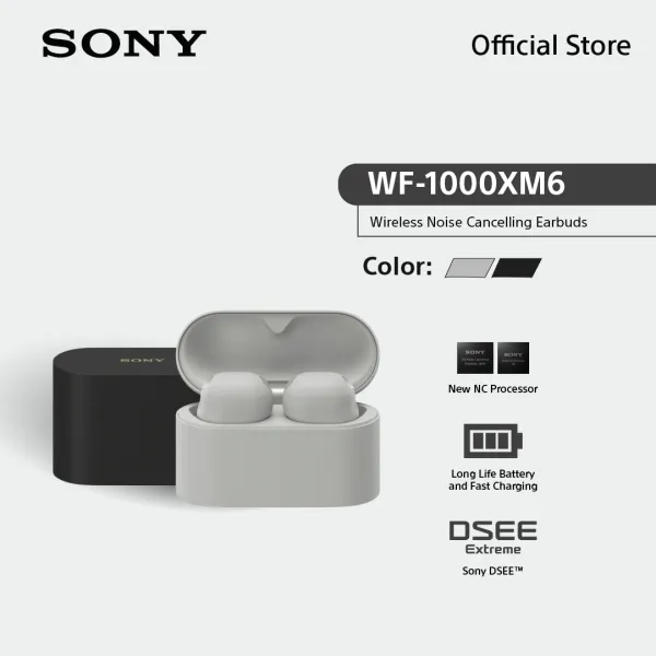 Sony หูฟัง In Ear รุ่น WF-1000XM6 | Noise Cancelling