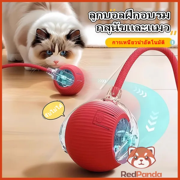 [🐾RedPanda]ของเล่นแมว ลูกบอลแมว อัติโนมัติ หมุนได้ 360 องศา โต้ตอบ เรืองแสง การชาร์จ USB ลูกบอลฝึกสุนัขและแมว ลูกบอลสัตว์เลี้ยง