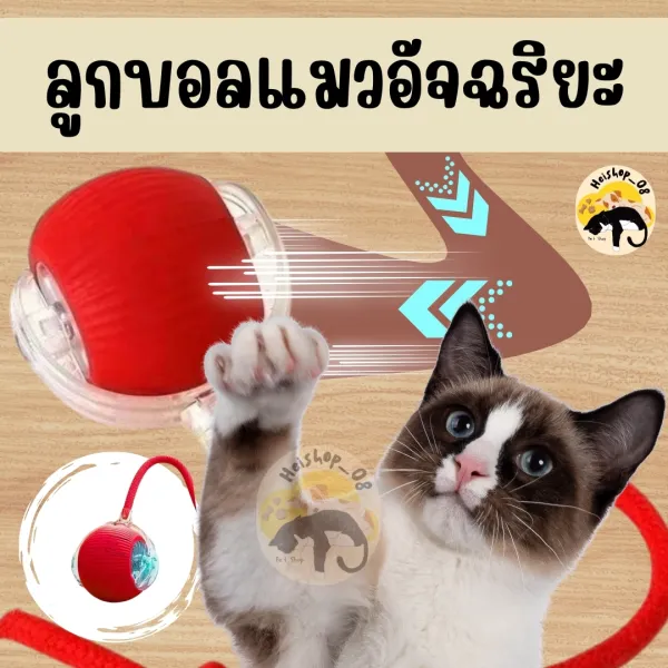 ของเล่นแมว ลูกบอลแมวอัตโนมัติ สมาร์ทไฟฟ้า หมุนได้ แบบโต้ตอบอัตโนมัติ ลูกบอลกนะโดดอิเล็กทรอนิกส์ ของเล่นสำหรับสัตว์เลี้ยง พร้อมส่งในไทย